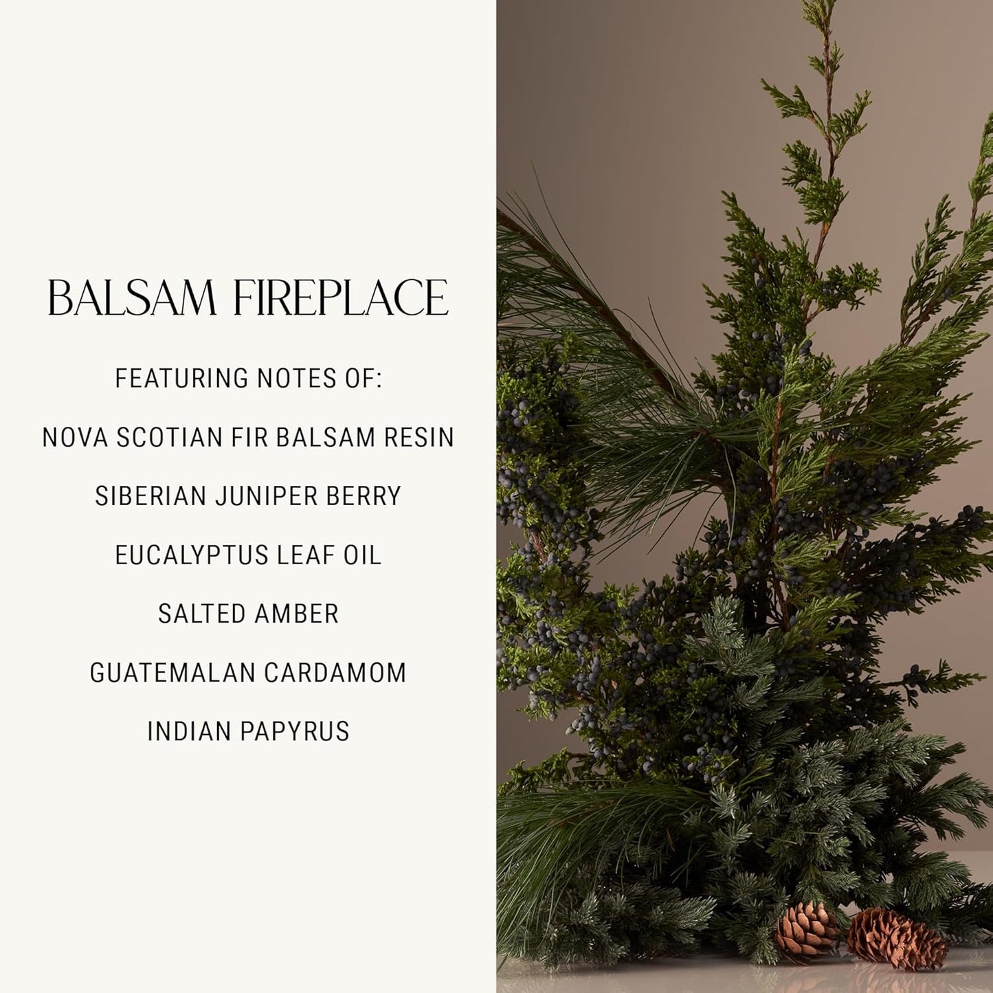 Homecourt Balsam Fireplace Dish Soap, Dishwashing Liquid with Clean Ingredients, Non-Toxic Dish Soap Liquid, Safe for People and Pets - 16 oz