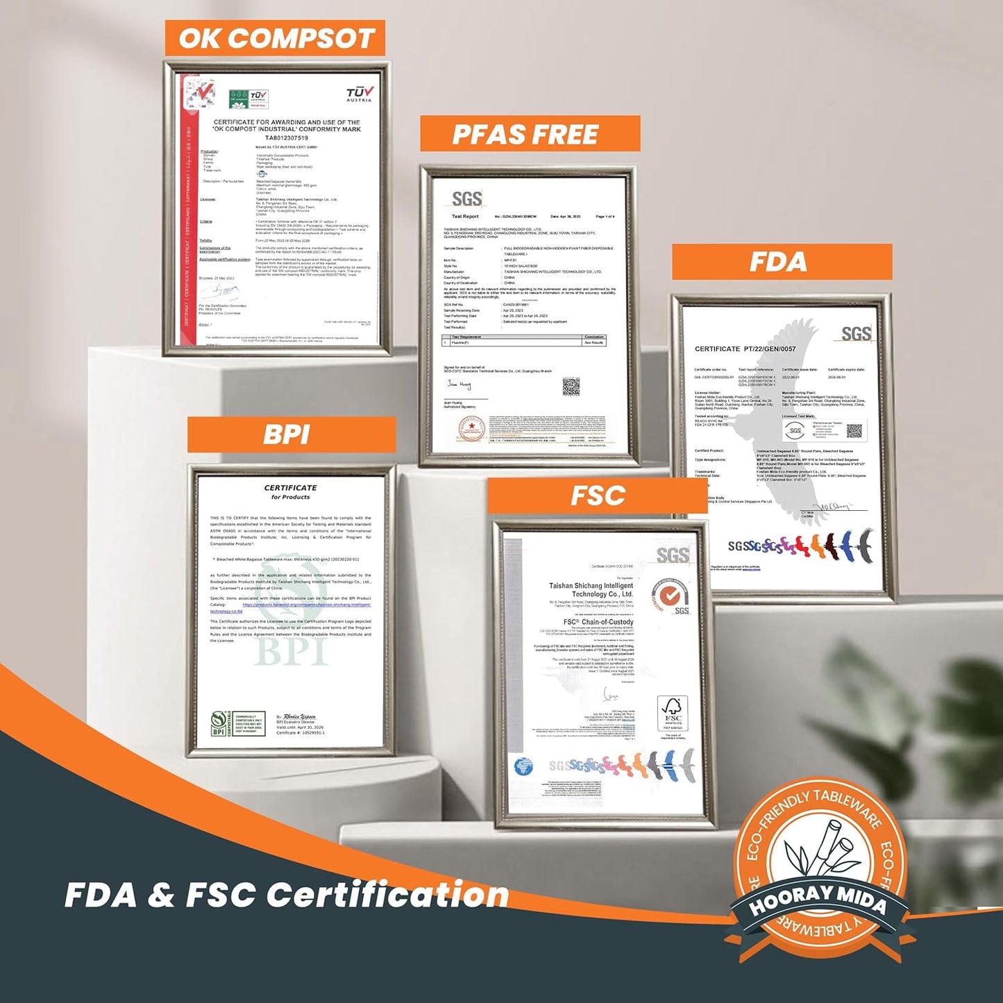 100% Compostable Paper Plates - 10 Inch, Bulk 300 Count - Disposable, Heavy Duty, Biodegradable Plates Made of Bagasse - Eco-Friendly, Large Size (Natural)