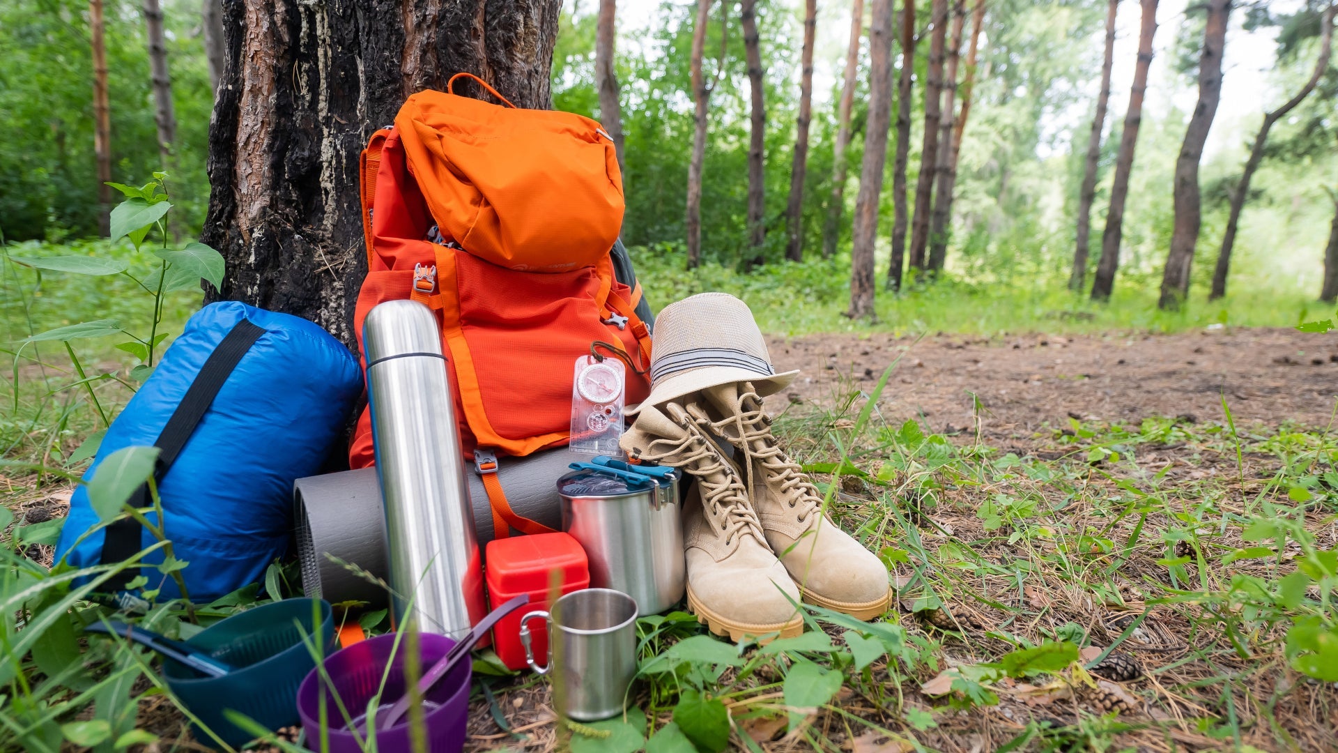 Car Camping vs. Backpacking: What Gear You Really Need for Each”