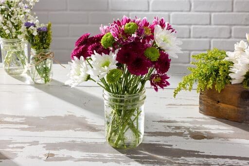 Ball Wide Mouth Glass Mason Jars with Lids and Bands, Used for Canning, Pickling, Juice, Jam, Jelly, Pint Size 16 Ounce (Pack of 36)