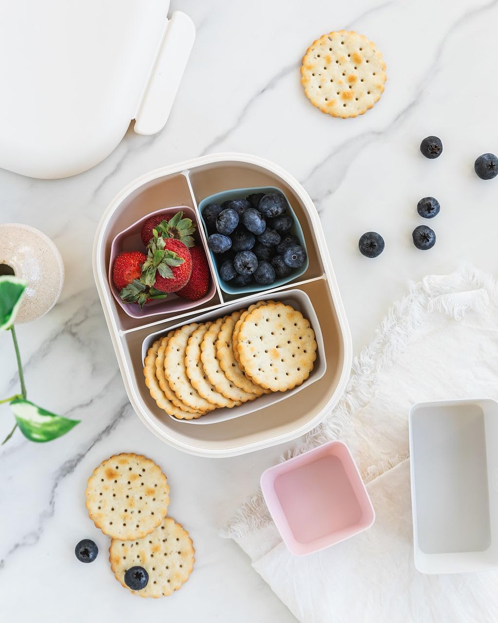 The Silicone Kitchen Reusable Silicone Bento Baking Cups, Non-Toxic, BPA Free, Dishwasher Safe Bento Box Accessories Lunch Box Dividers, Square and Rectangle, 24 Pack, Pink, Blue, Gray