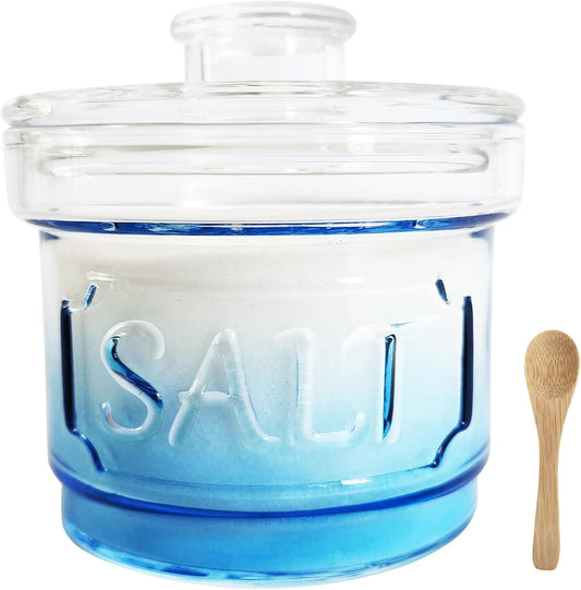 Glass Salt Cellar with Lid Salt Container with Spoon for Countertop Embossed Pattern Salt Box for Storing Sea Salt Flaky Salt Spice 12oz Capacity Holder,Gradient Blue