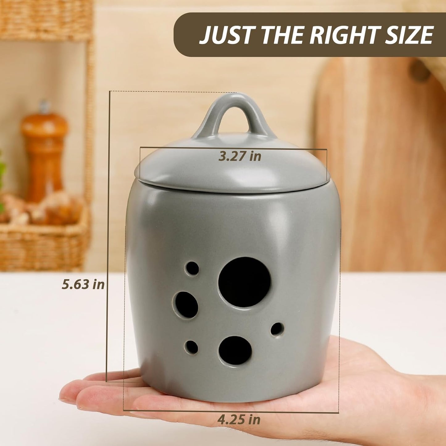 BosilunLife Ceramic Garlic Keeper - Garlic Storage Container with Lid Grey Garlic Jar for Kitchen Garlic Holder Countertop to Keep Your Garlic Cloves Fresh Longer