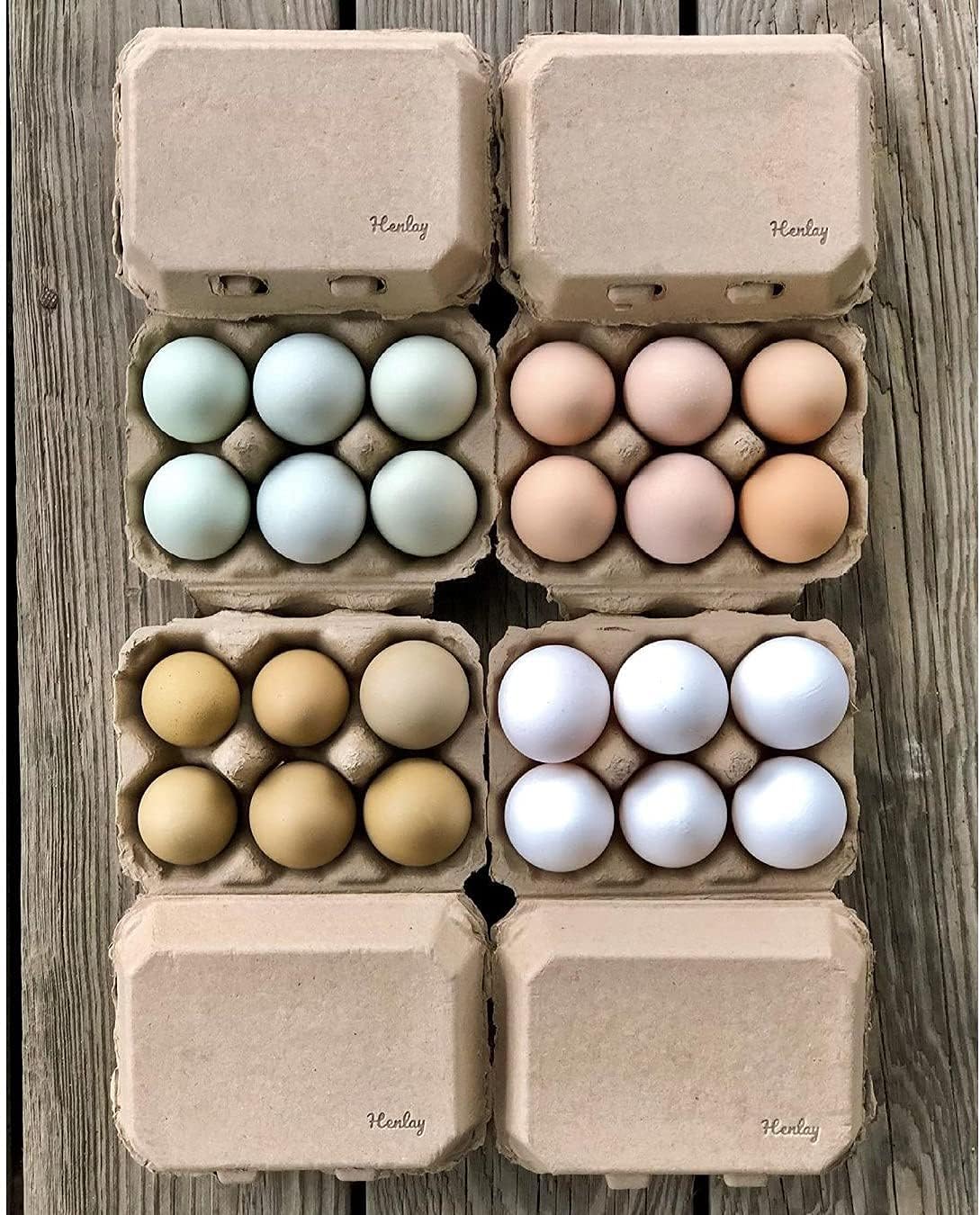 Half Dozen Blank Egg Cartons – 6-Pack Flat Top Half-Dozen Holder, Recyclable Pulp, Ideal for Farm-Fresh Eggs, DIY Custom Labeling, Eco-Friendly Storage - 20 Pack