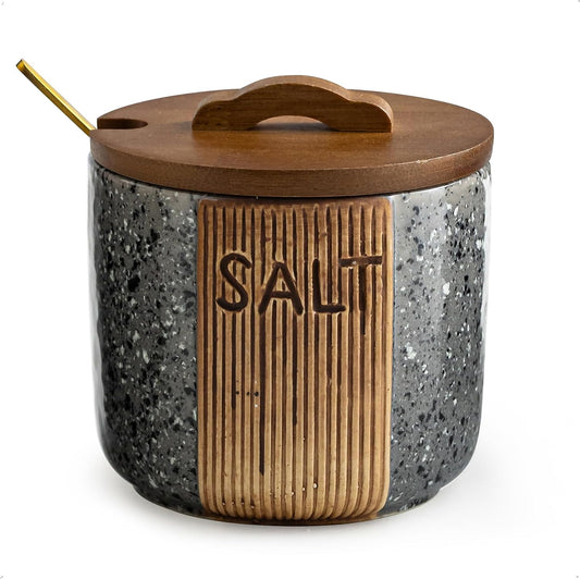 Salt Cellar with Lid & Spoon, Ceramic Salt Container for Countertop, 10 OZ Salt Bowl Holder, Gray