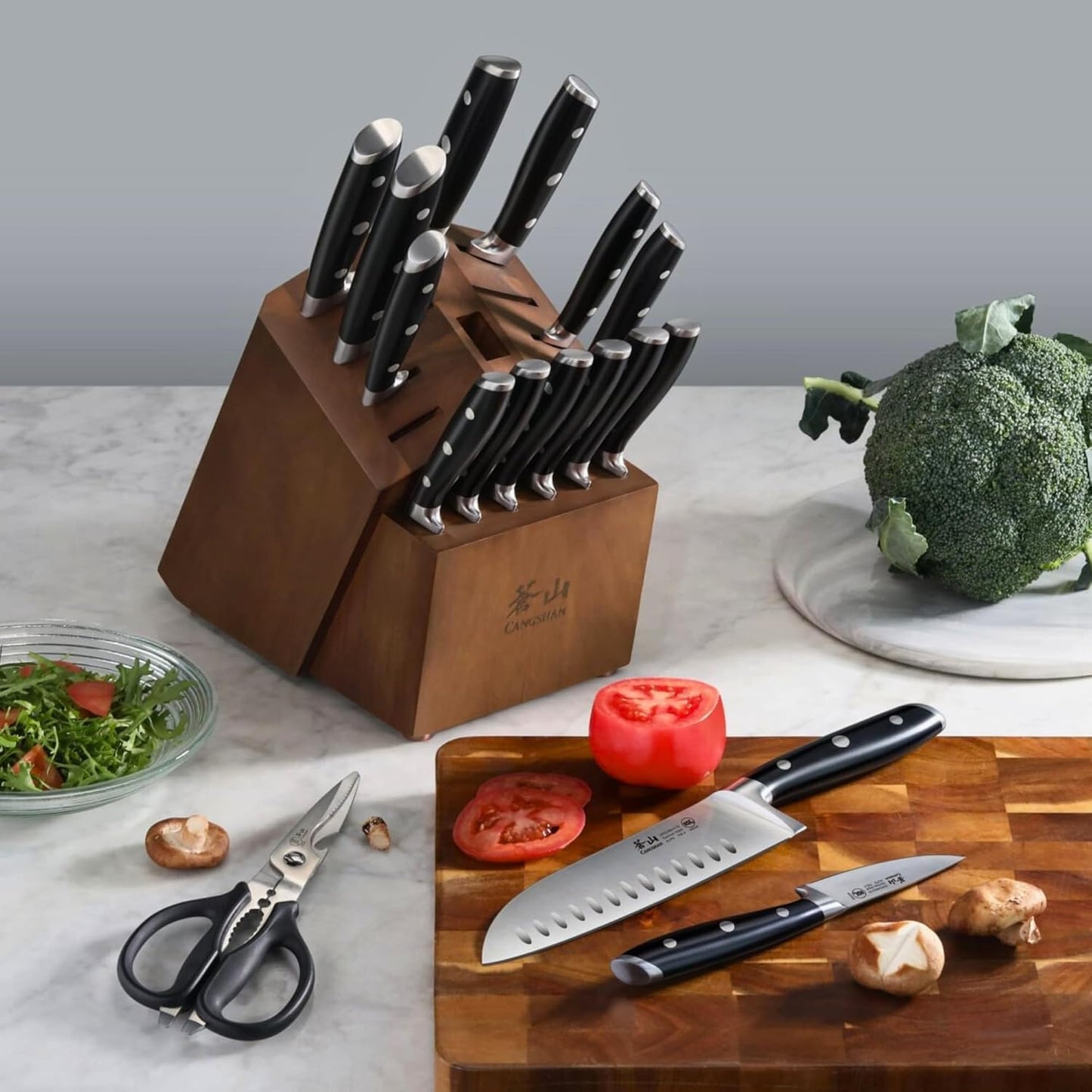 Cangshan Alps Series German Steel Forged 17-Piece Knife Block Set, Acacia (Black)
