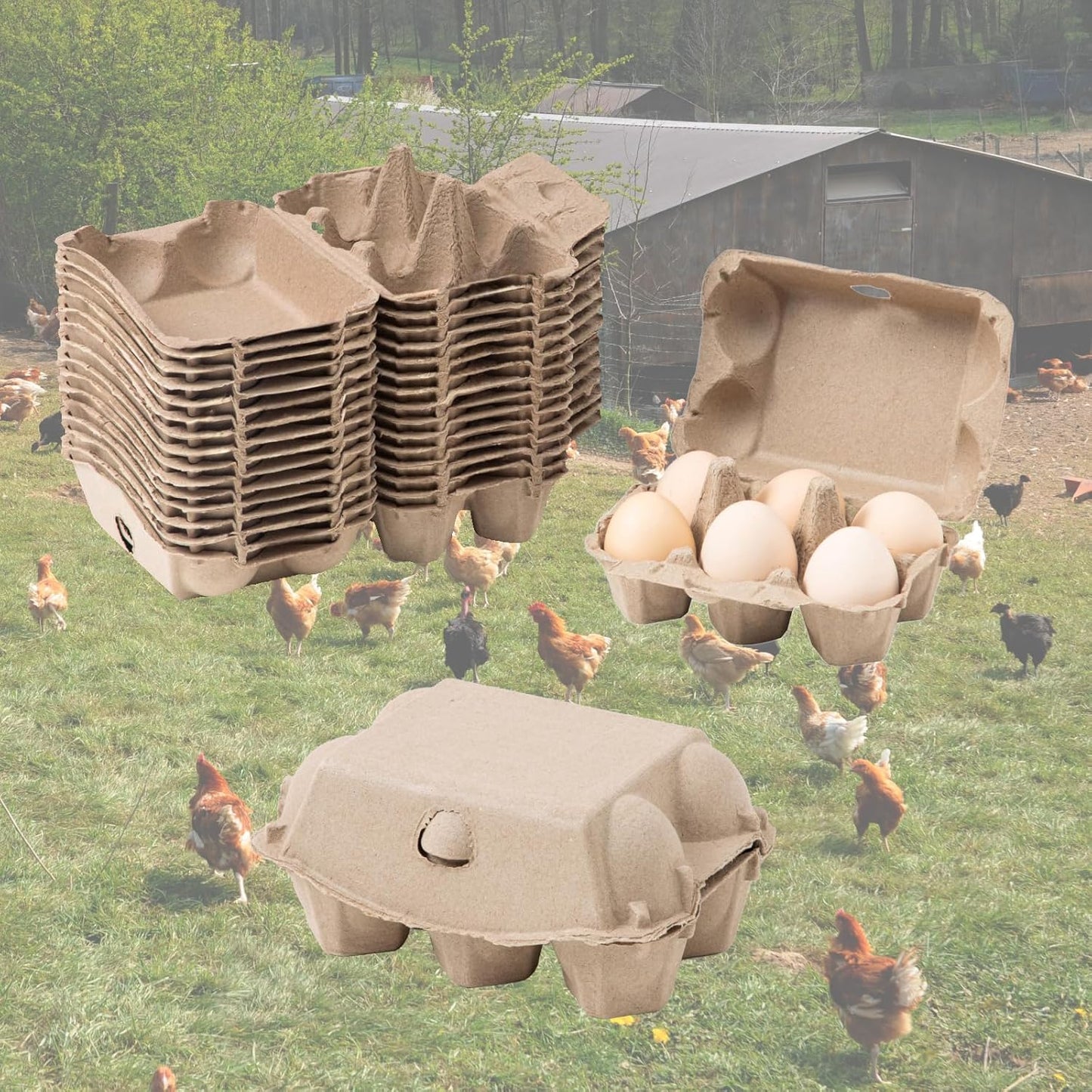 15 Pack Egg Cartons Cheap Bulk, 6 Count Egg Storage Containers Holder, Sturdy Natural Pulp Material Perfect for Storing Extra Eggs