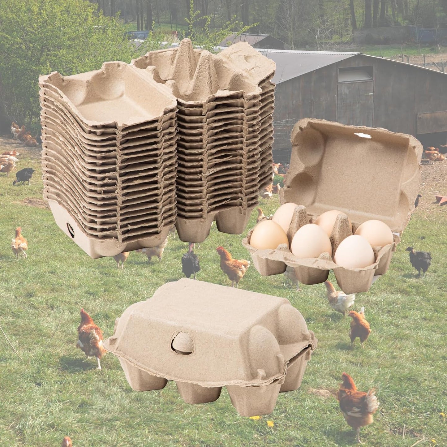 20 Pack Egg Cartons Cheap Bulk, 6 Count Egg Storage Containers Holder, Sturdy Natural Pulp Material Perfect for Storing Extra Eggs