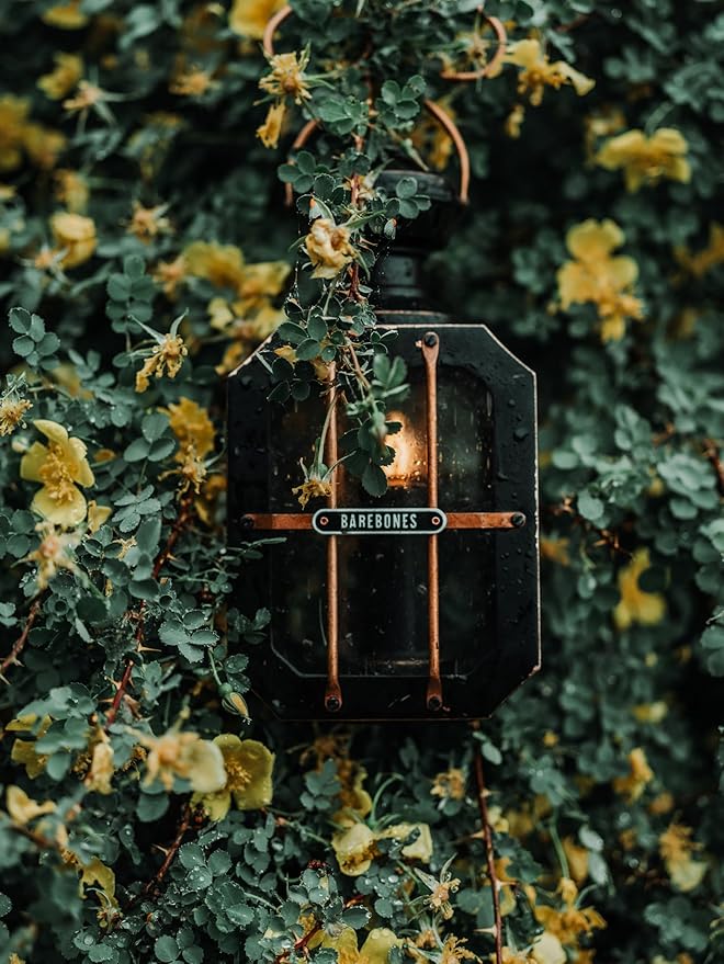 Barebones Box Candle Lantern – Vintage Steel & Glass Lantern for Indoor & Outdoor Use – Magnetic Doors, Hanging Handle & Replaceable Windows for Patio, Garden & Home Ambiance (Candle Not Included)