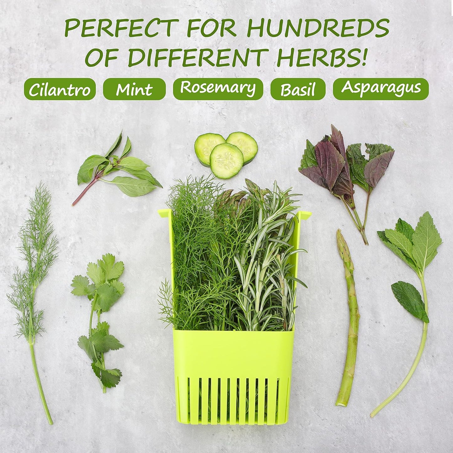 2 Pack Fresh Herb Keeper for Refrigerator, Clear BPA-Free Herb Saver, Storage Container for Cilantro, Parsley, Thyme, Mint & Asparagus, Preserver Keeps Fresh Herbs for 3 Times Longer